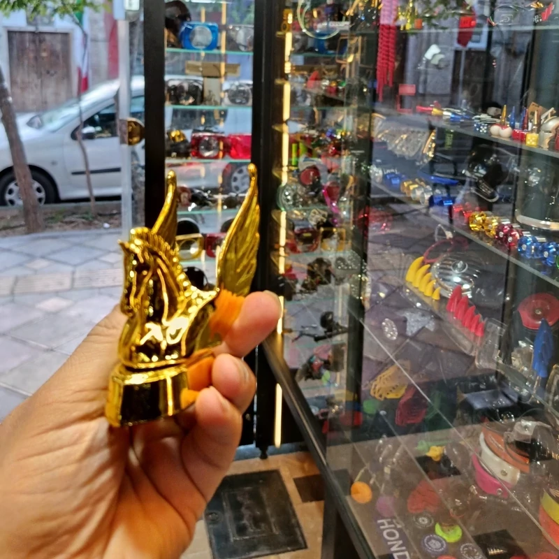 مجسمه گلگیر جلو طلایی