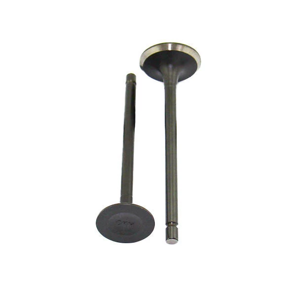 سوپاپ 125 موتور سیکلت بسته 2 عددی وارداتی